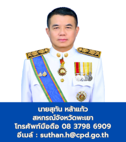 Province Director