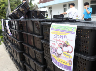 สหกรณ์จังหวัดพะเยา ร่วมกระจายมังคุดพัทลุง ... พารามิเตอร์รูปภาพ 6