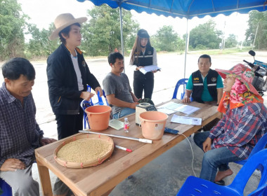 ตรวจเยี่ยมสำรวจสถานการณ์การรวบรวมรับซื้อข้าวเปลือกนาปี ... พารามิเตอร์รูปภาพ 1