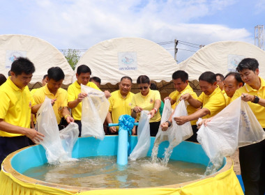 โครงการพัฒนา 72 สายน้ำ อย่างยั่งยืน ... พารามิเตอร์รูปภาพ 4