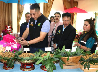 ประชุมเชิงปฏิบัติการเพิ่มศักยภาพการบริหารจัดการลำไยเพื่อเชื่อมโยงเครือข่ายกระจายผลผลิต ประจำปีงบประมาณ พ.ศ. 2568 ... พารามิเตอร์รูปภาพ 7