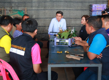 ผวจ.พะเยา นำคณะ ลงพื้นที่ตรวจเยี่ยมล้งรับซื้อลำไย ... พารามิเตอร์รูปภาพ 1