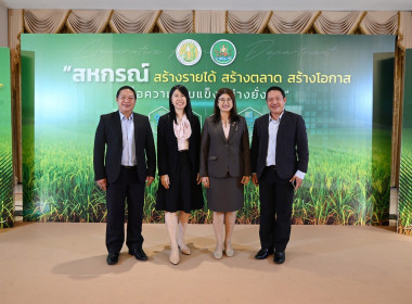 ประชุมเชิงปฏิบัติการ ... พารามิเตอร์รูปภาพ 14