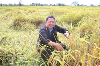 สหกรณ์จังหวัดพะเยา ... พารามิเตอร์รูปภาพ 1