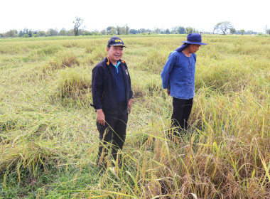 สหกรณ์จังหวัดพะเยา ... พารามิเตอร์รูปภาพ 8