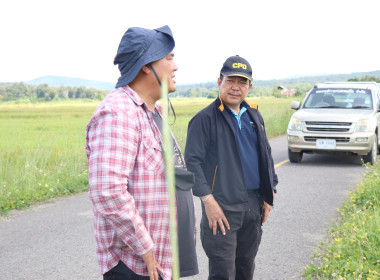 สหกรณ์จังหวัดพะเยา ... พารามิเตอร์รูปภาพ 7