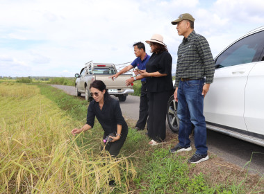 สหกรณ์จังหวัดพะเยา ... พารามิเตอร์รูปภาพ 9