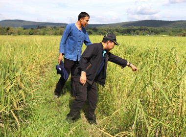 สหกรณ์จังหวัดพะเยา ... พารามิเตอร์รูปภาพ 10