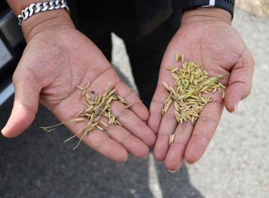 สหกรณ์จังหวัดพะเยา ... พารามิเตอร์รูปภาพ 12