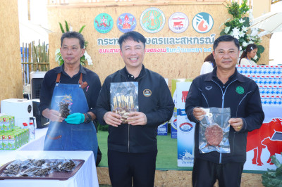 อธิบดีกรมส่งเสริมสหกรณ์ ... พารามิเตอร์รูปภาพ 1