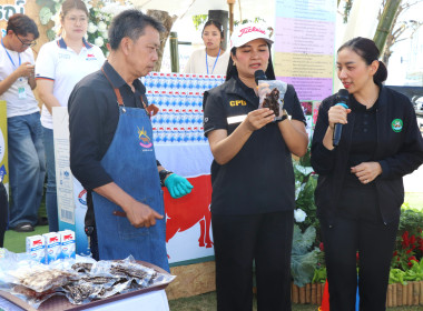 อธิบดีกรมส่งเสริมสหกรณ์ ... พารามิเตอร์รูปภาพ 4