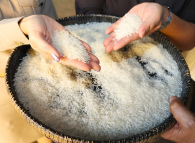 ลงพื้นที่ตรวจสอบสถานที่เก็บรักษาข้าวเปลือก ... พารามิเตอร์รูปภาพ 9