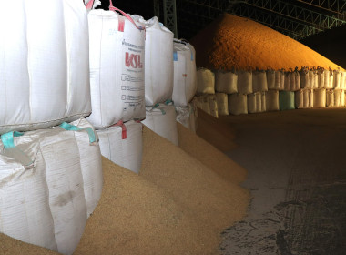 ลงพื้นที่ตรวจสอบสถานที่เก็บรักษาข้าวเปลือก ... พารามิเตอร์รูปภาพ 10