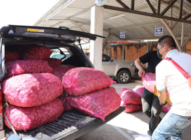 สำนักงานสหกรณ์จังหวัดพะเยา เร่งกระจายหอมแดง 3.5 ตัน ... พารามิเตอร์รูปภาพ 5