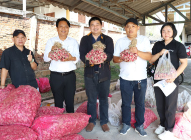 สำนักงานสหกรณ์จังหวัดพะเยา เร่งกระจายหอมแดง 3.5 ตัน ... พารามิเตอร์รูปภาพ 3