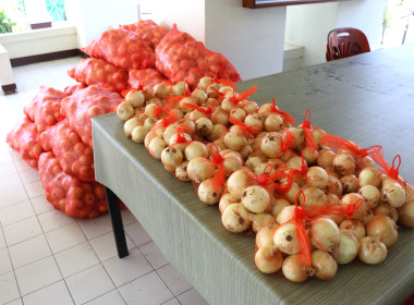 สหกรณ์จังหวัดพะเยา ร่วมสนับสนุนกระจายผลผลิตหอมหัวใหญ่ ... พารามิเตอร์รูปภาพ 5