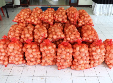 สหกรณ์จังหวัดพะเยา ร่วมสนับสนุนกระจายผลผลิตหอมหัวใหญ่ ... พารามิเตอร์รูปภาพ 6