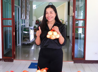 สหกรณ์จังหวัดพะเยา ร่วมสนับสนุนกระจายผลผลิตหอมหัวใหญ่ ... พารามิเตอร์รูปภาพ 2
