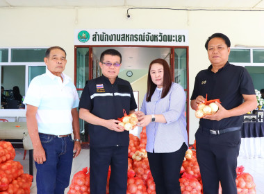 สหกรณ์จังหวัดพะเยา ร่วมสนับสนุนกระจายผลผลิตหอมหัวใหญ่ ... พารามิเตอร์รูปภาพ 3