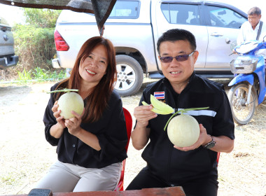 ลงพื้นที่ตรวจเยี่ยมสวนสมาชิกกลุ่มเกษตรกรทำสวนแคนตาลูปและผลิตผลเกษตรศรีถ้อย เสริมศักยภาพการผลิตและการตลาด ... พารามิเตอร์รูปภาพ 7