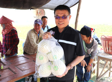 ลงพื้นที่ตรวจเยี่ยมสวนสมาชิกกลุ่มเกษตรกรทำสวนแคนตาลูปและผลิตผลเกษตรศรีถ้อย เสริมศักยภาพการผลิตและการตลาด ... พารามิเตอร์รูปภาพ 6