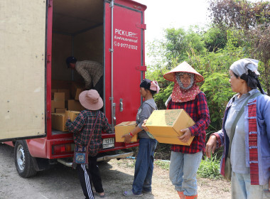 ลงพื้นที่ตรวจเยี่ยมสวนสมาชิกกลุ่มเกษตรกรทำสวนแคนตาลูปและผลิตผลเกษตรศรีถ้อย เสริมศักยภาพการผลิตและการตลาด ... พารามิเตอร์รูปภาพ 12